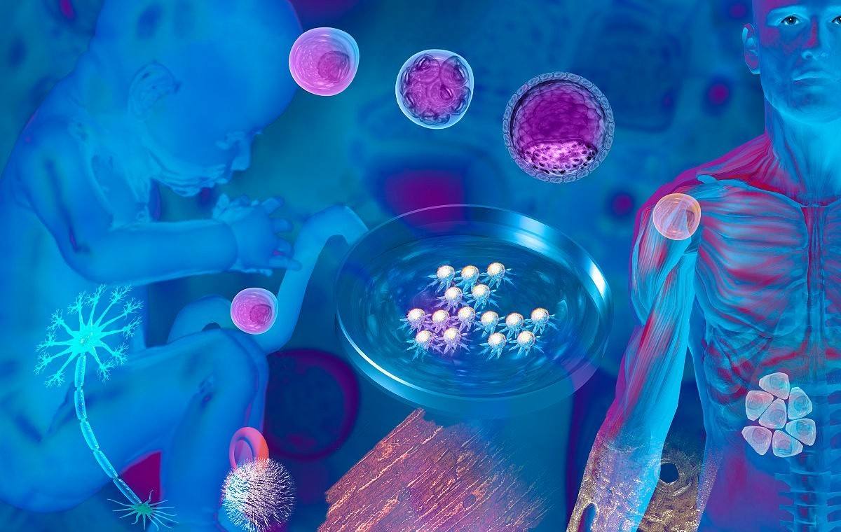 干細(xì)胞美容技術(shù)，重新定義抗衰老