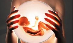 干細(xì)胞可治療不育不孕：修復(fù)子宮內(nèi)膜