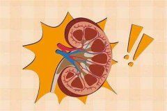 導致慢性腎病的原因是什么？慢性腎病患者如何保?。? title=