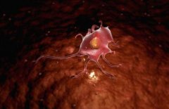 多潛能成體祖細胞治療外傷性腦損傷